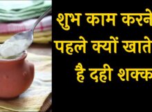 Why do we eat curd and sugar before doing any auspicious work