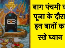 Nag Panchami 2024