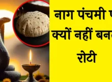 Nag Panchami 2024