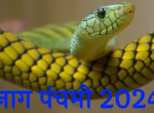 Nag Panchami 2024