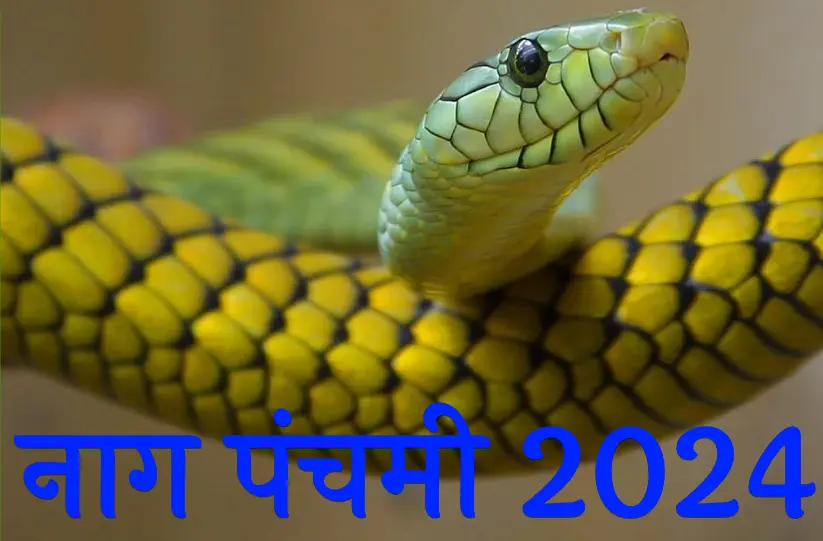 Nag Panchami 2024