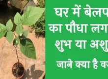 Sawan 2024 Vastu
